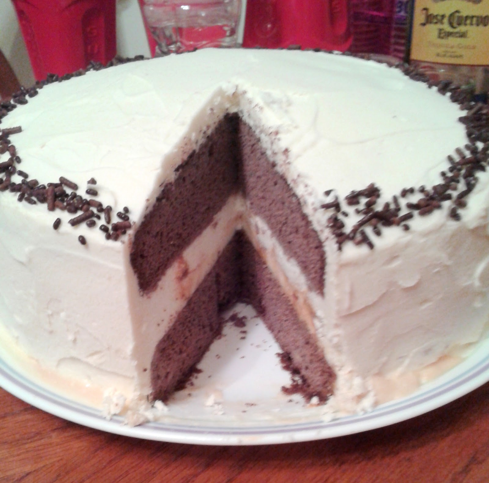 The Baking Chemist Easy Dark Chocolate Ice Cream cake