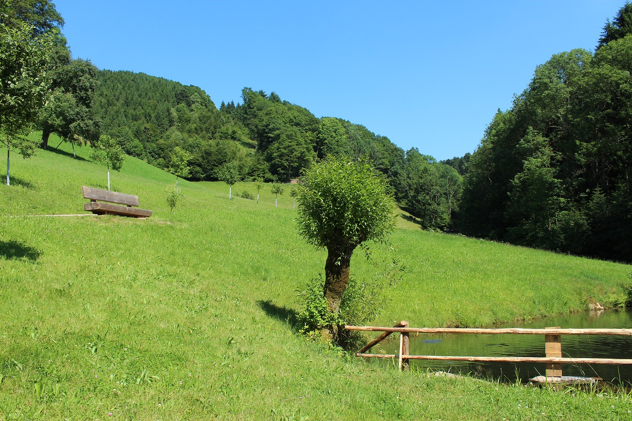 Wandern Fur Anfanger Fashionstylebyjohanna Fashionblog