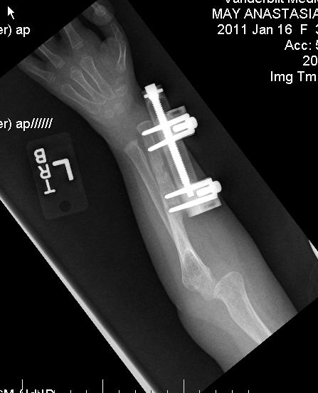 May Family Chronicles