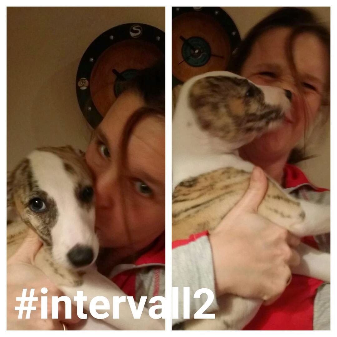 dejta 19 åring utveckling