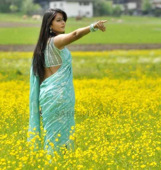Anushka-shetty-saree-Damarukam-movie Anushka-shetty-back-saree-Damarukam-movie