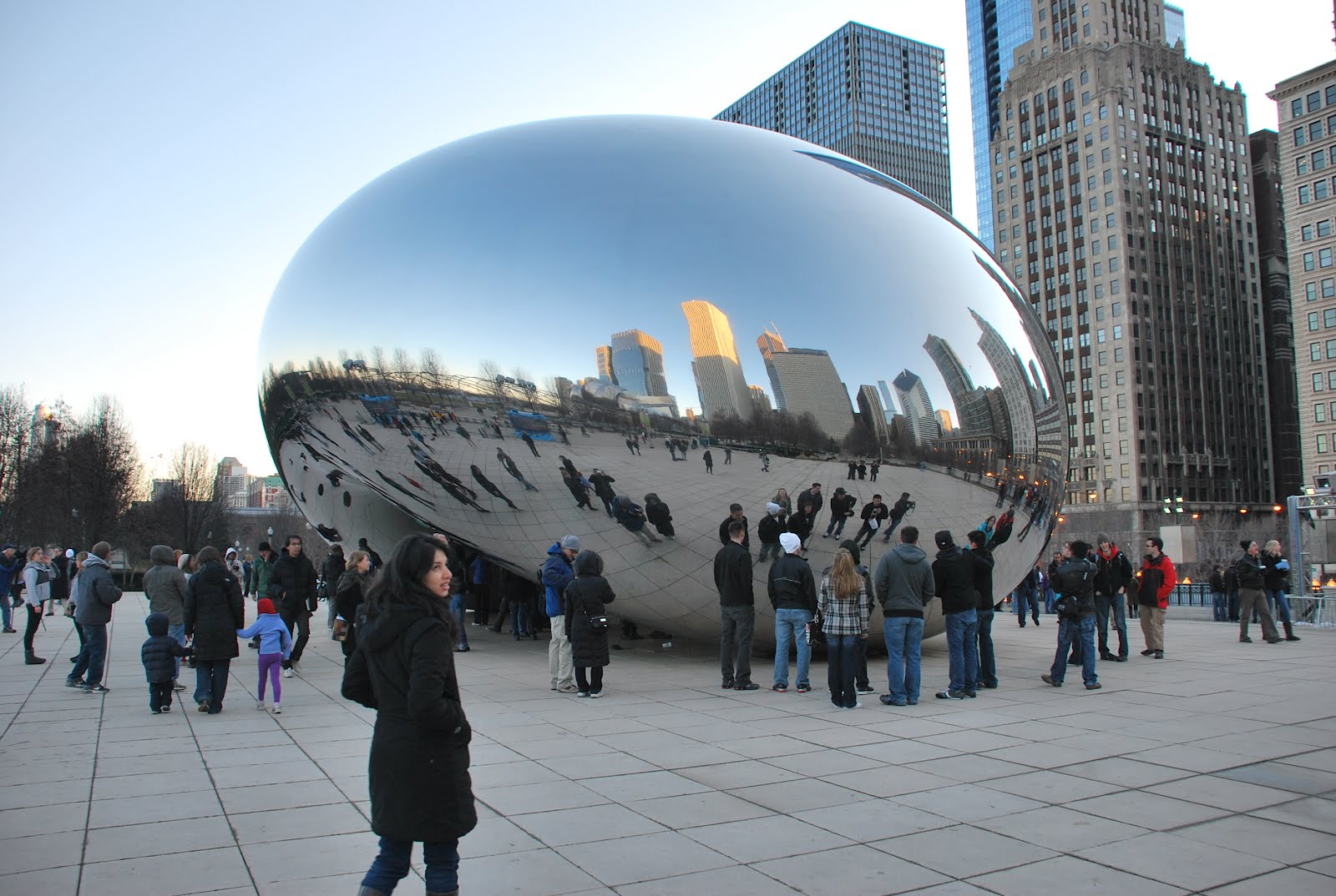 Seven Bowls of Tea Silver Bean