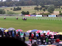 A misty day at Leopardstown Racecourse A misty day at Leopardstown Racecourse