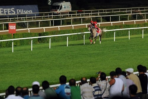 at yarisi tahminleri altili ganyan tahminleri beyaz bayrak ayna nedir
