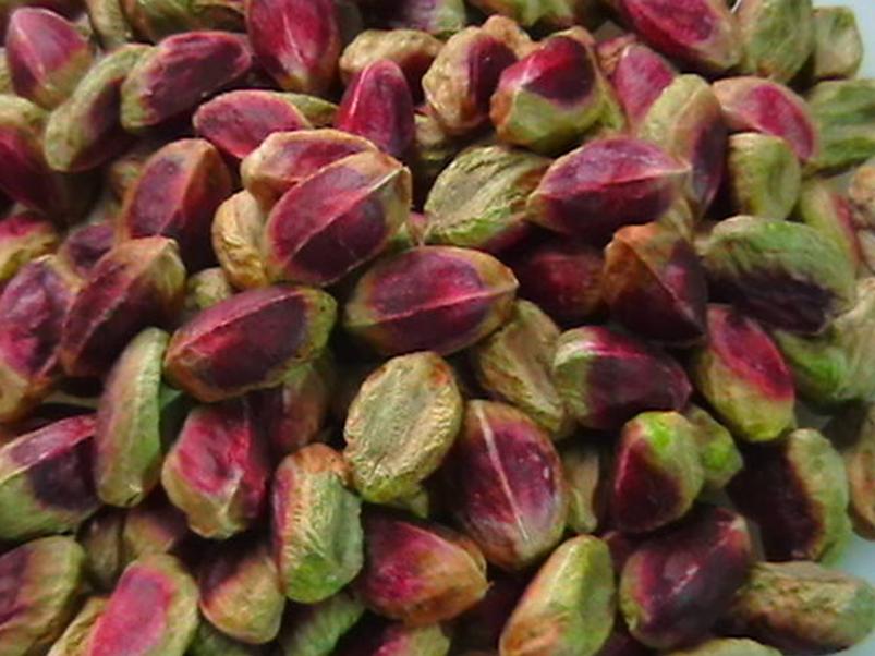 Iranian Pistachio Growers