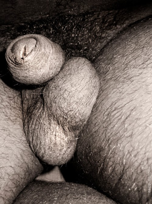 Порно Волосатые Яйца