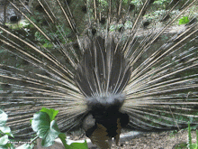 ΚΙΝΟΥΜΕΝΕΣ ΕΙΚΟΝΕΣ