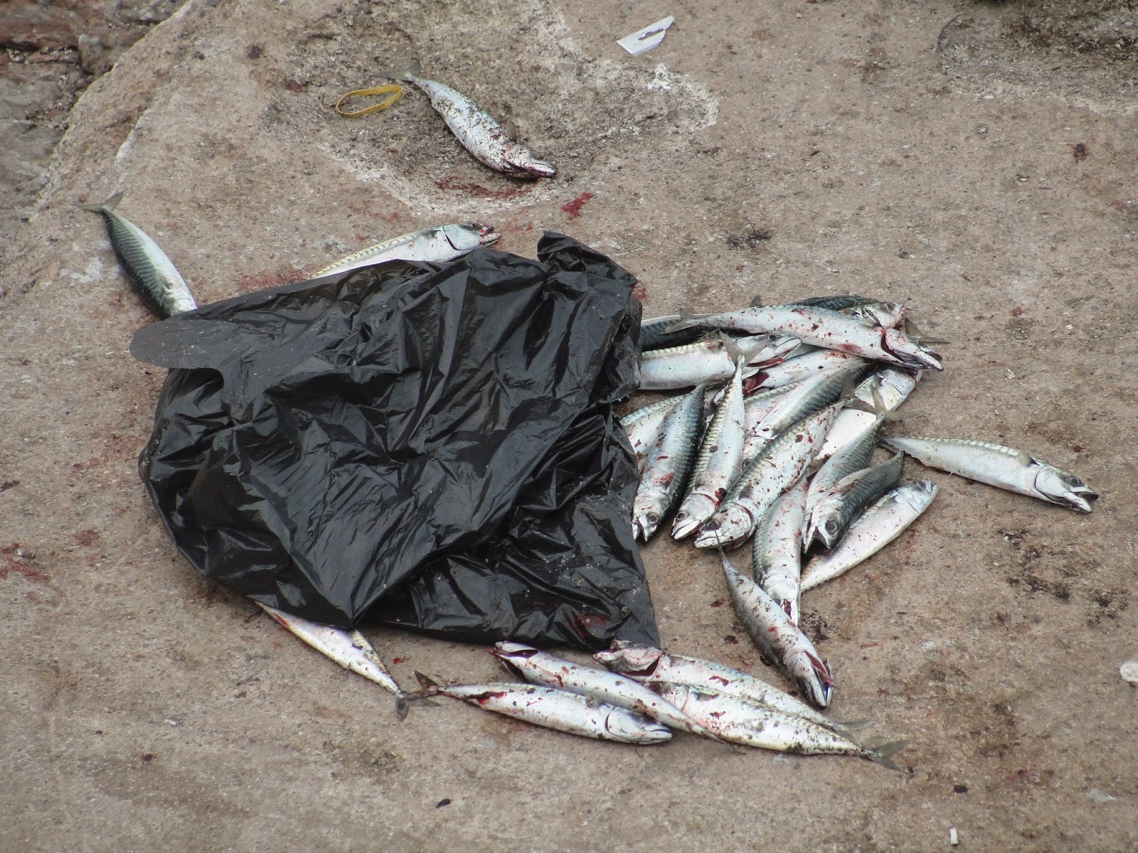 The Outdoor Traditionalist Homemade Mackerel Lures and Traps