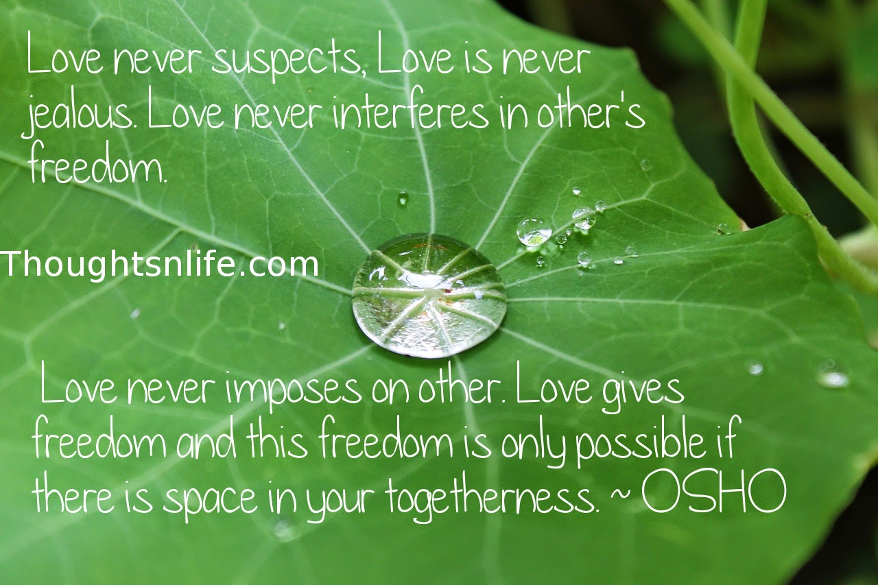 Thoughtsnlife.com: Love never suspects, Love is never jealous. Love never interferes in other's freedom. Love never imposes on other. Love gives freedom and this freedom is only possible if there is space in your togetherness. ~ OSHO