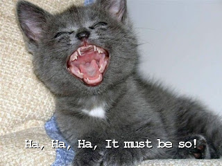 haha_it_must_be_so.jpg
