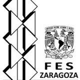 FES ZARAGOZA
