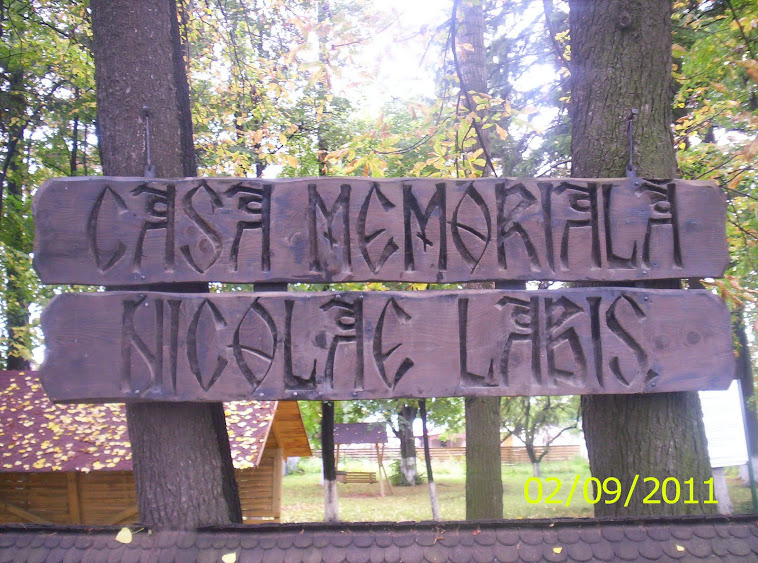 CASA MEMORIALA A POETULUI NICOLAE LABIS