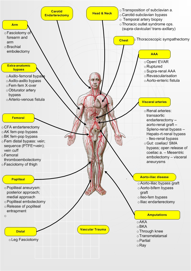 Vascular bedside teaching curriculum a DGH experience SURREY
