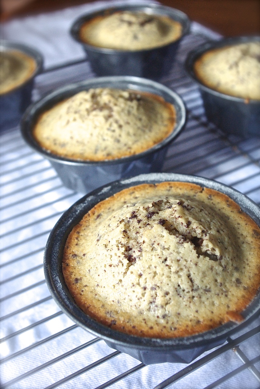 Luv'n Spoonfuls Whole Wheat Chocolate Chip Cake