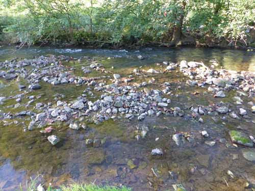 7. Third Creek in Tyson Park.