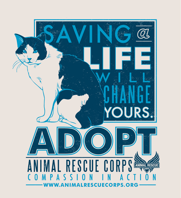 Foster Care vs Adopting Adoption Network va adoption photolisting