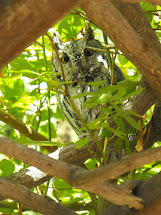 Albuquerque Bio Park