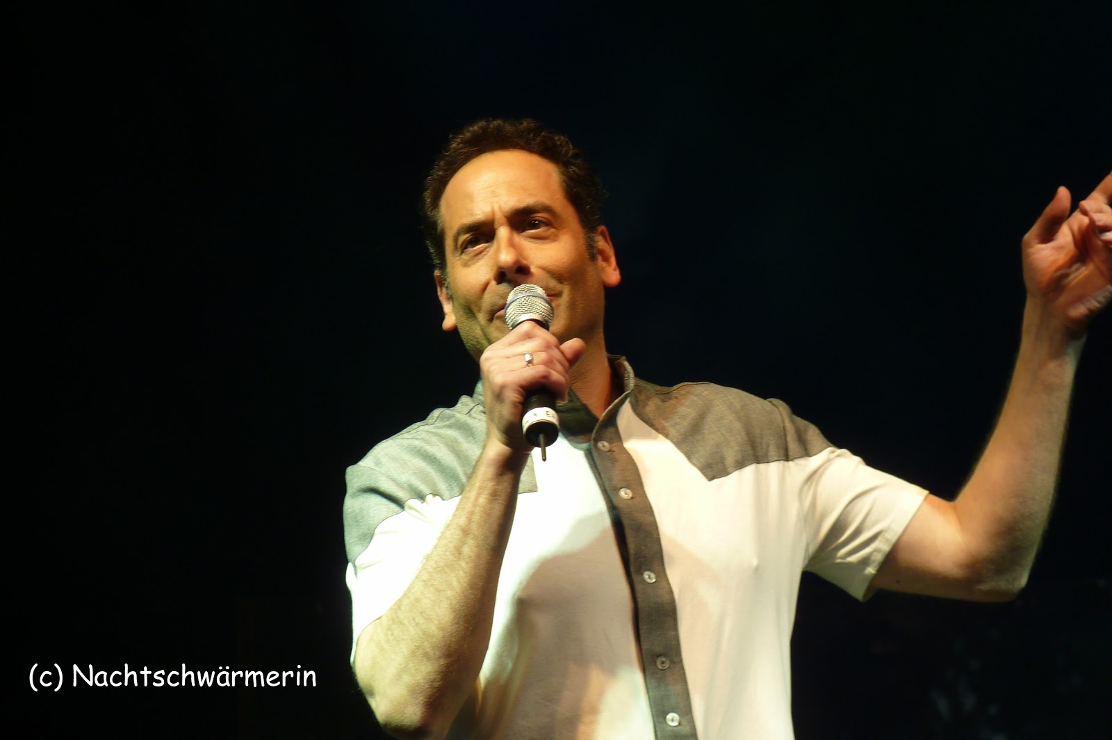 Nachtschwarmereien Sommernacht Des Musicals 2011 Dinslaken