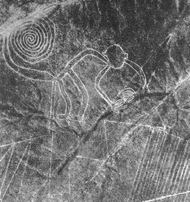 Nazca monkey  10    