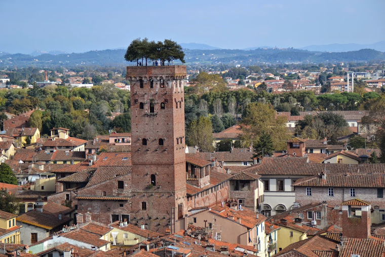 LUCCA (TOSCANA) OTTOBRE 2014