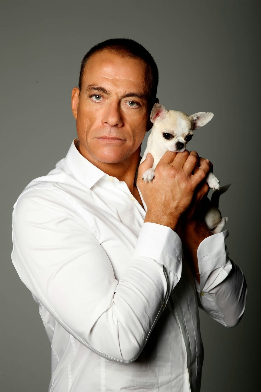 Martial arts JeanClaude Van Damme