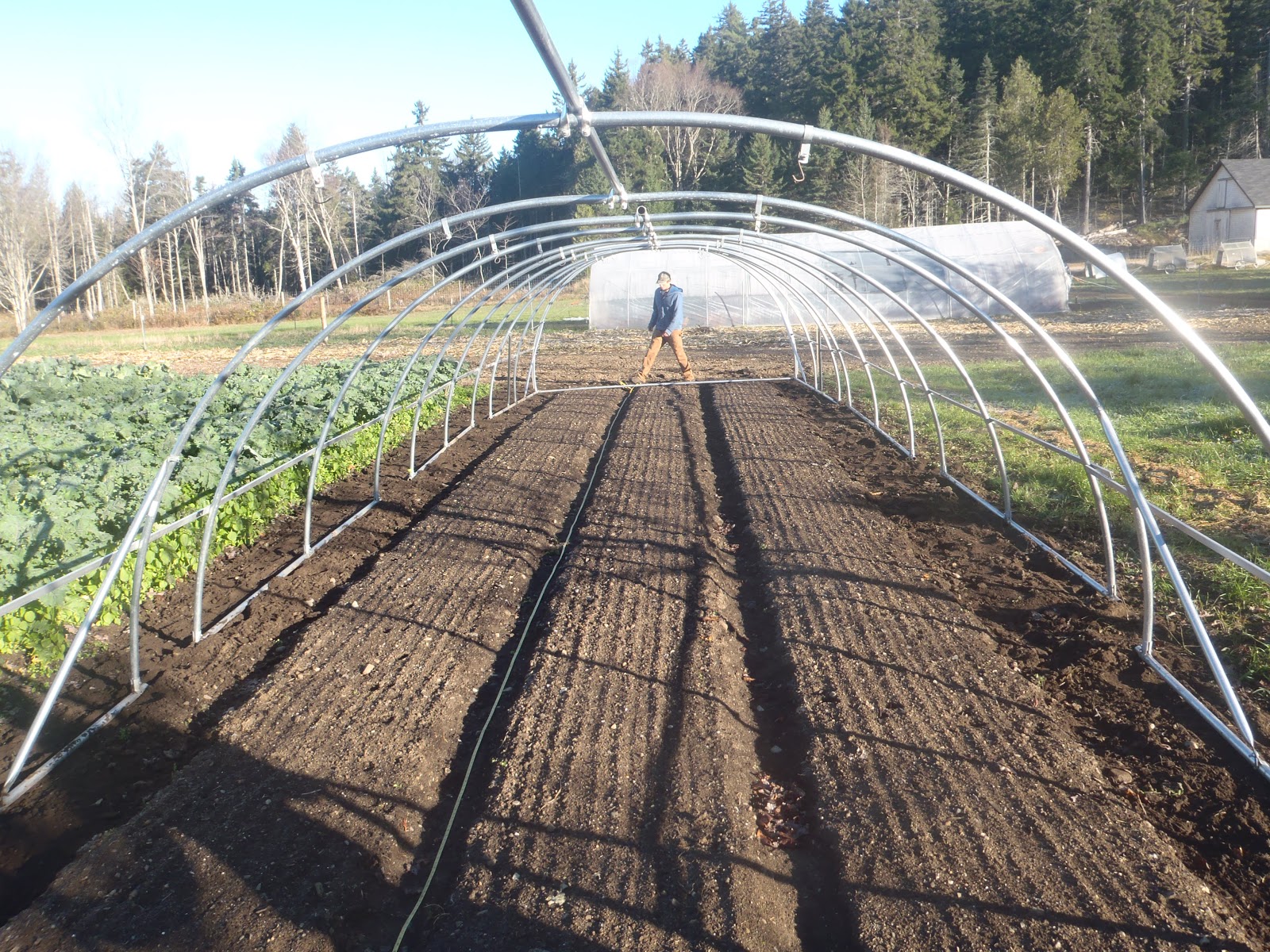 Have You Ever Picked A Carrot? High Tunnel Quick Hoops More quick and
