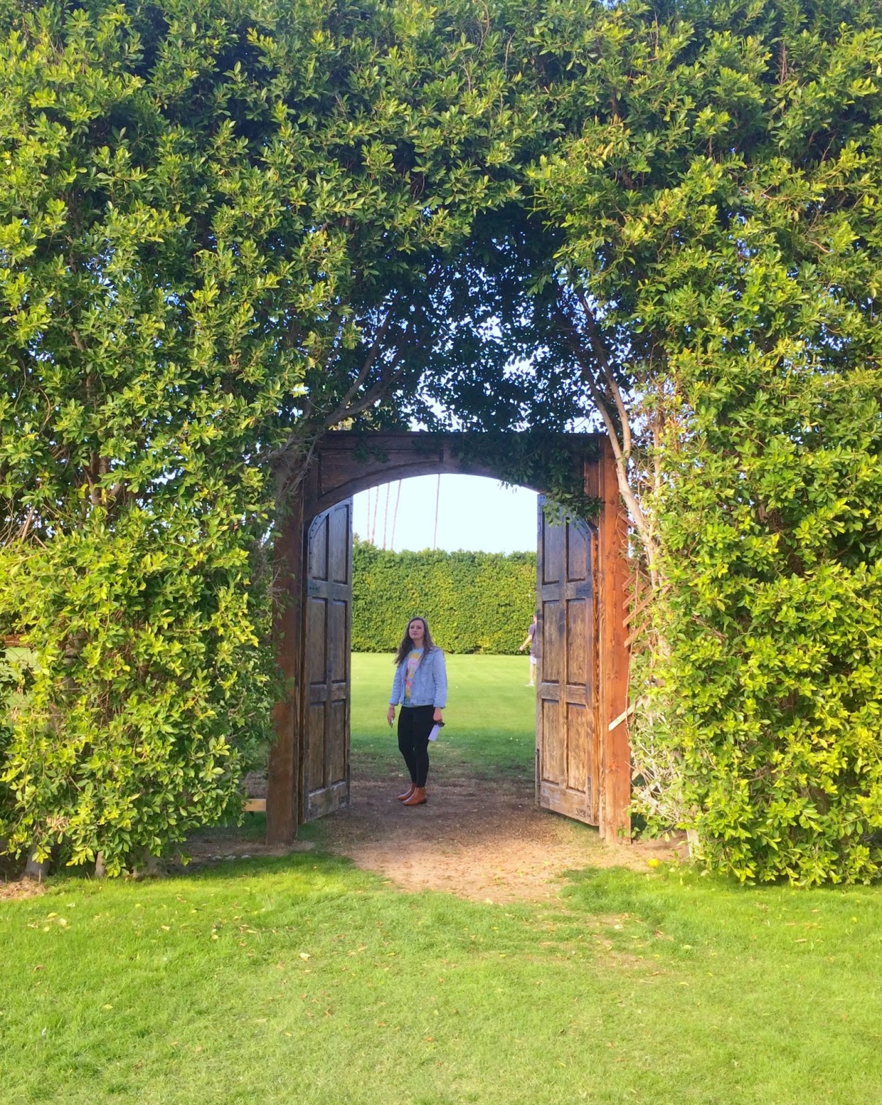 Jac O Lyn Murphy Shut The Front Door The Amazing Doors Of Palm