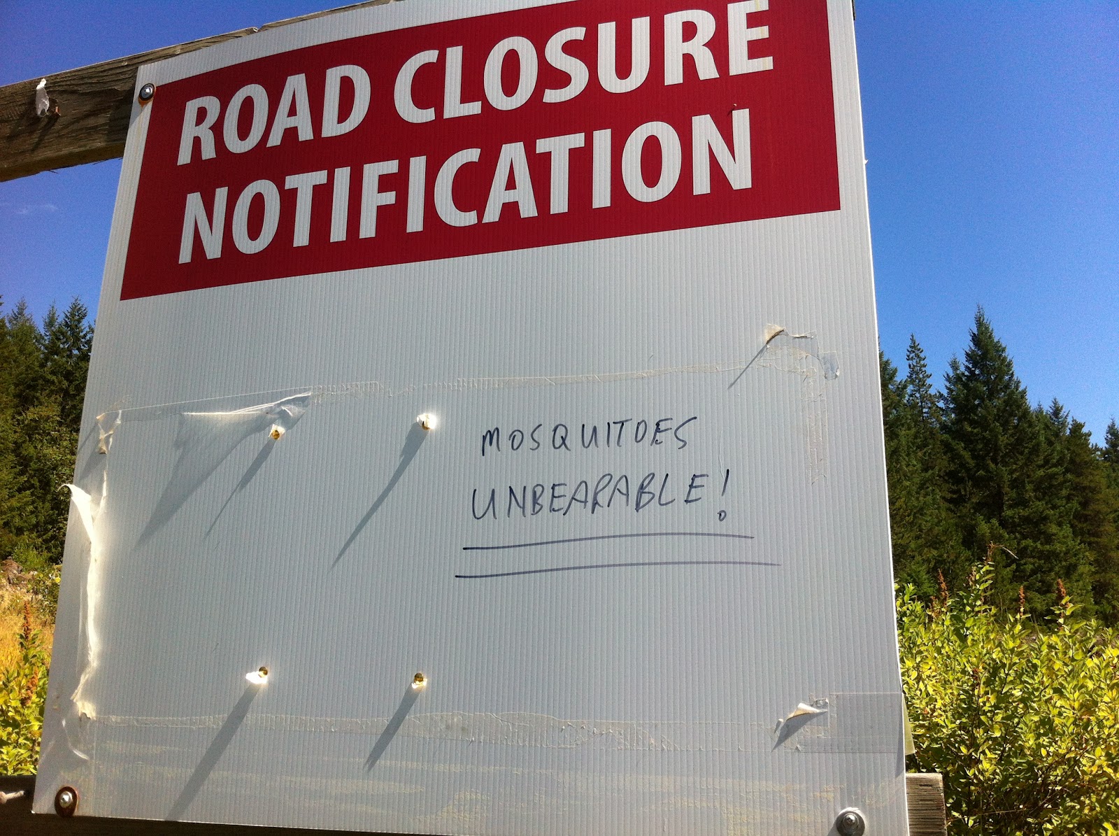 Playing With My Food! Pesto Edamame Salad