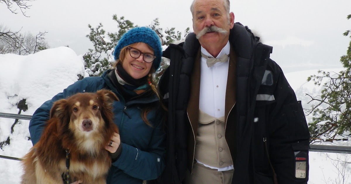 bill murray dogs buddymollys bill murray likes our dog bill murray dogs buddymollys bill murray likes our dog