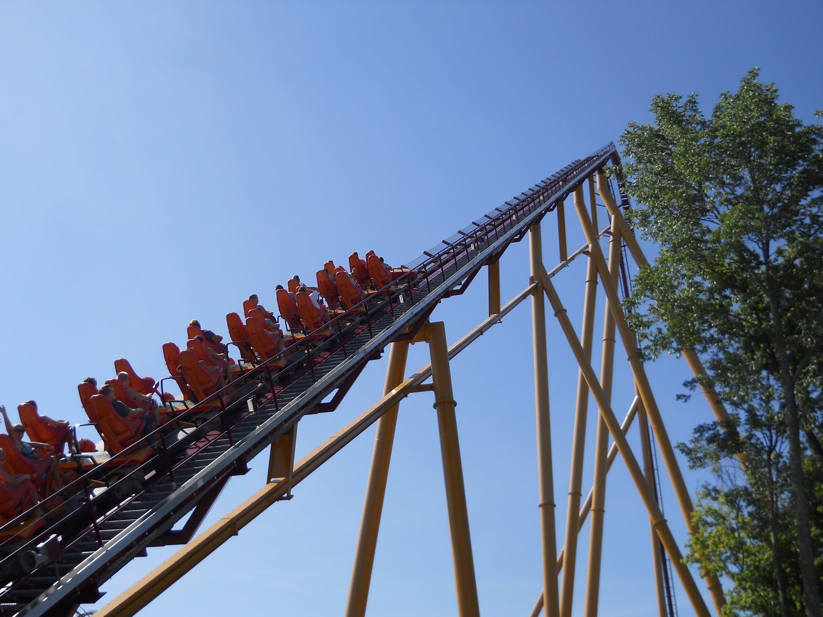 Diamondback Roller Coaster