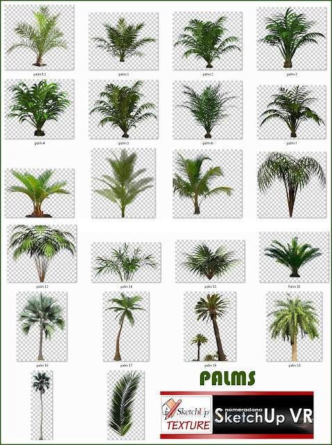 cut out trees palms