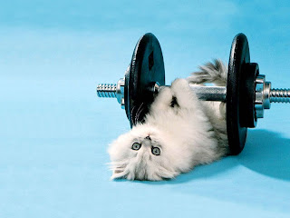 Funny Bodybuilding