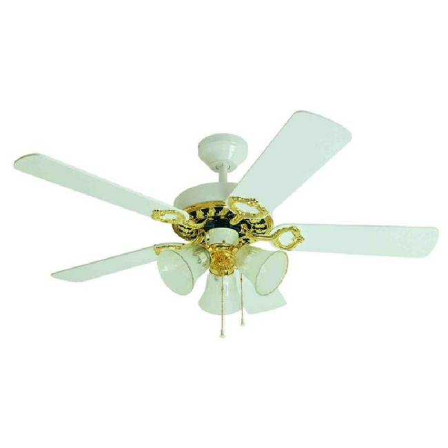 White Fan