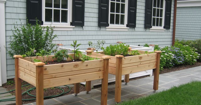 Alive!: Front Yard Gardening... What We're Planning this Summer