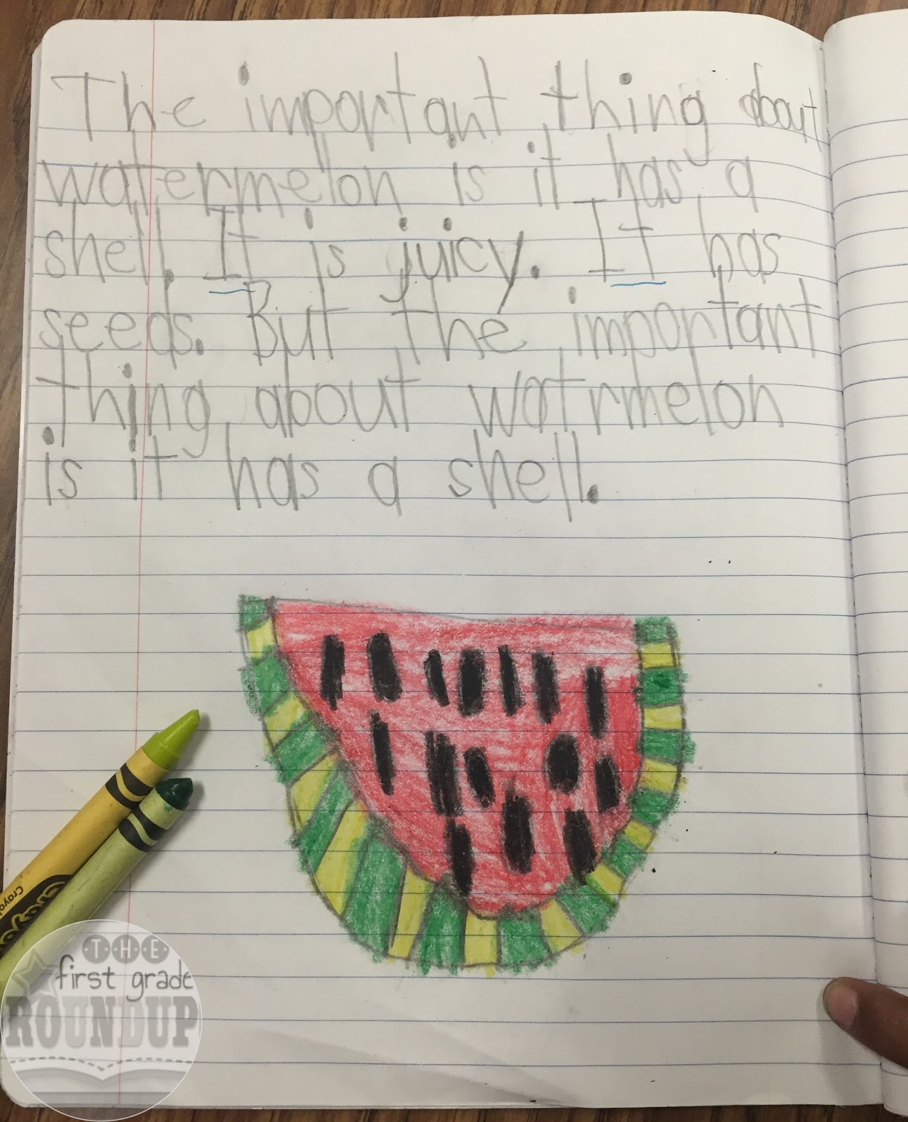 just the facts important vs interesting firstgraderoundup the important book