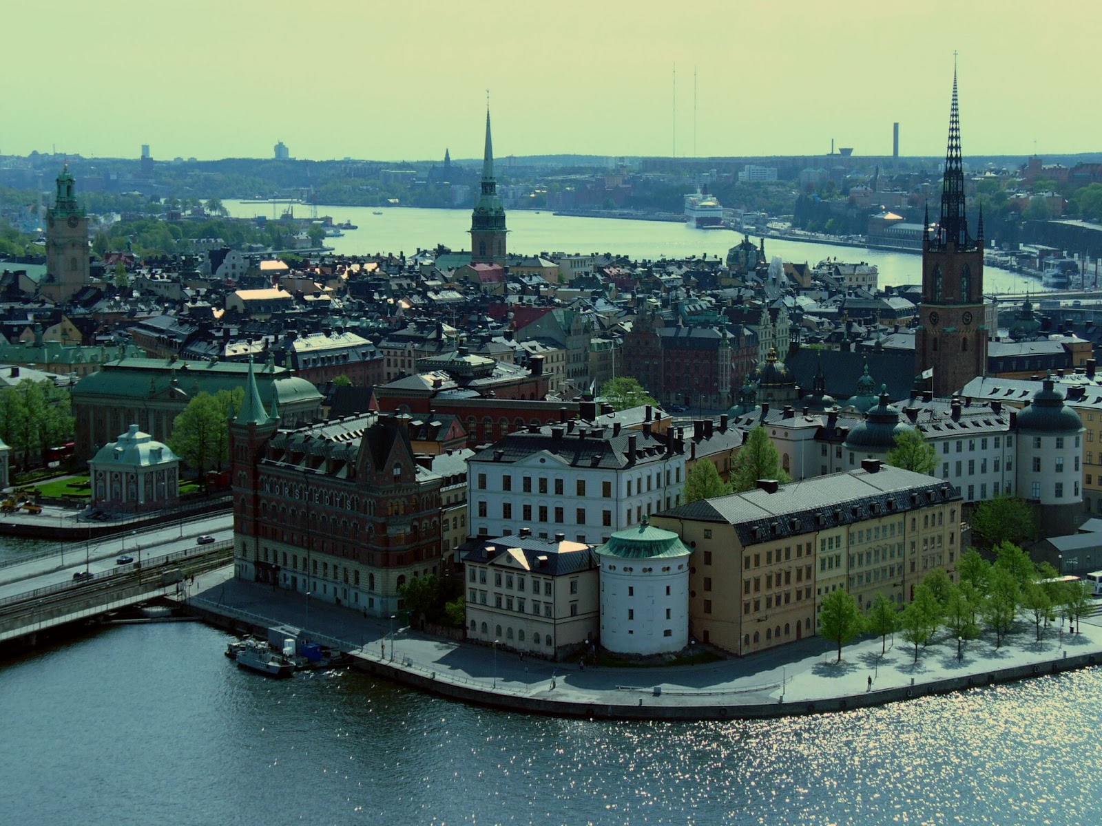 [Image: P1090931.JPG]