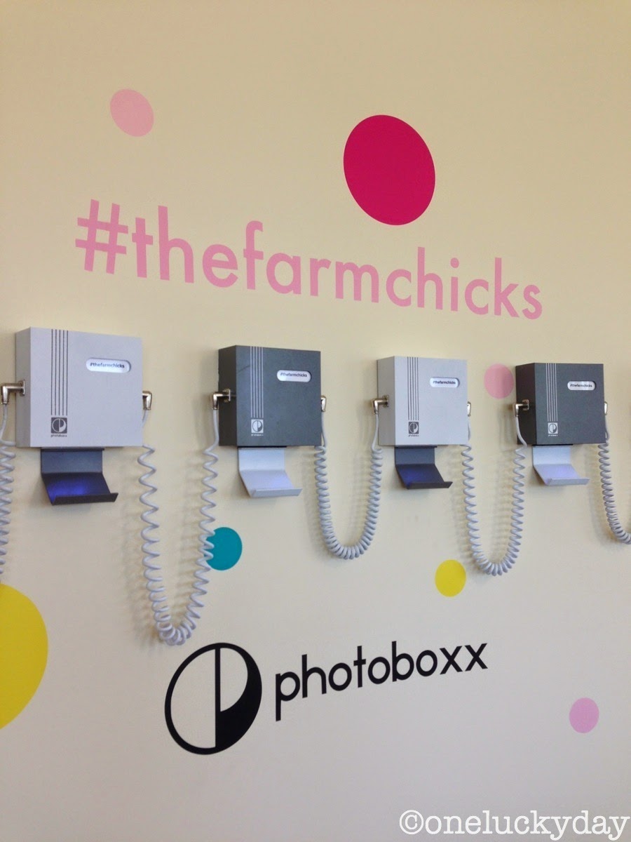 One Lucky Day Farm Chicks