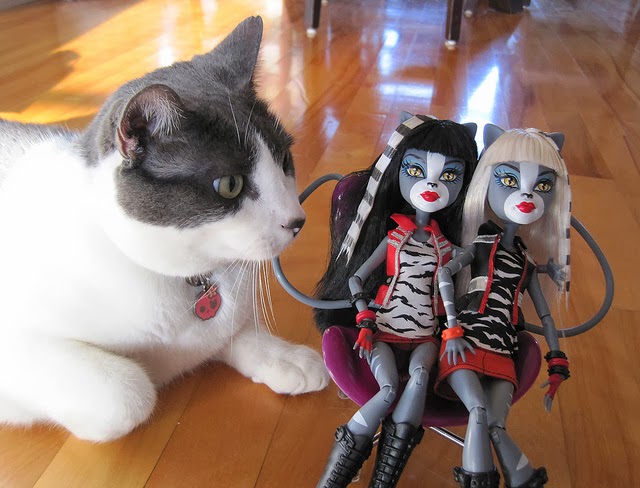 Monster High Girls The Wearcats