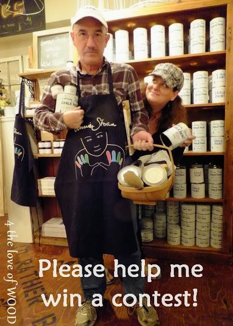 PLEASE VOTE FOR ME!