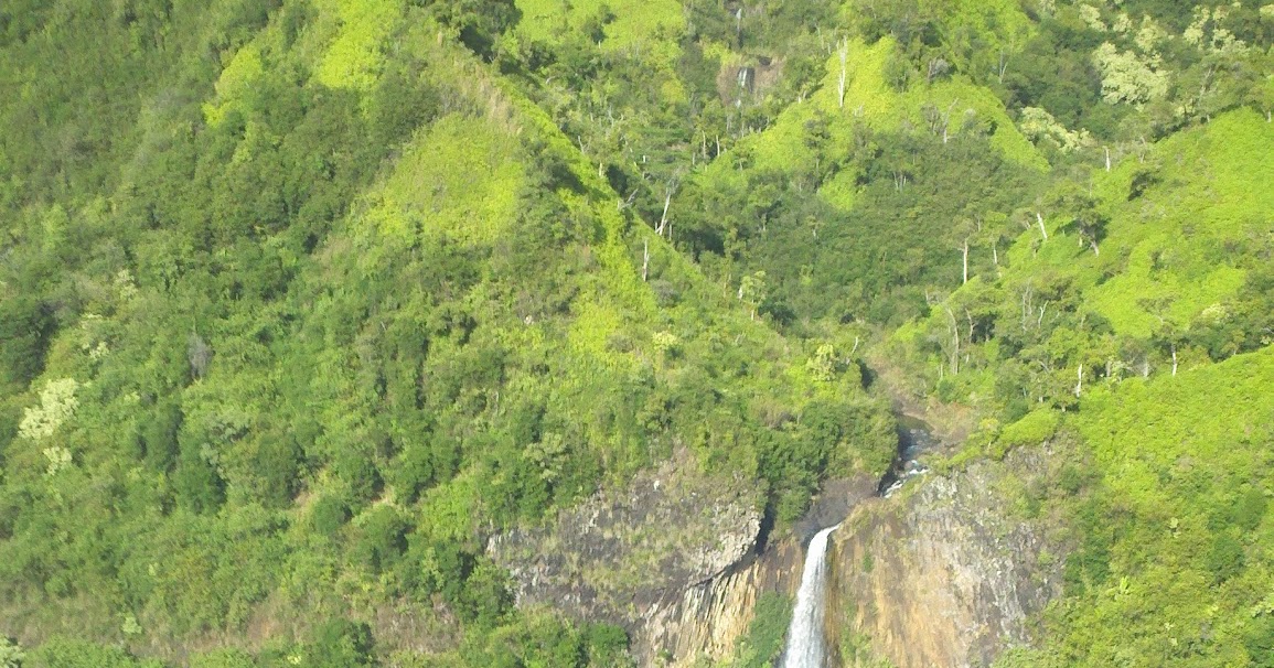 The Imbibe Hour Drinking in Paradise, island of Kauai offers more than