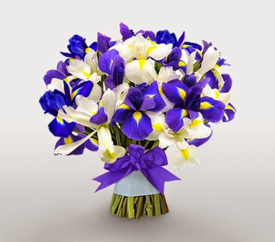 Dpetals 6 best flowers to send to your girlfriend