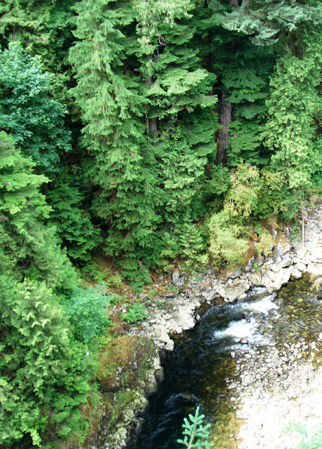 Capilano Suspension Bridge Vancouver BC Capilano Suspension Bridge Vancouver BC