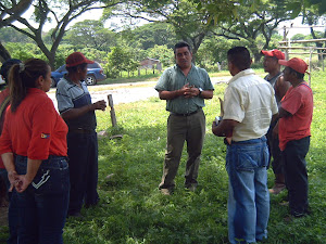 Trabajo en campo