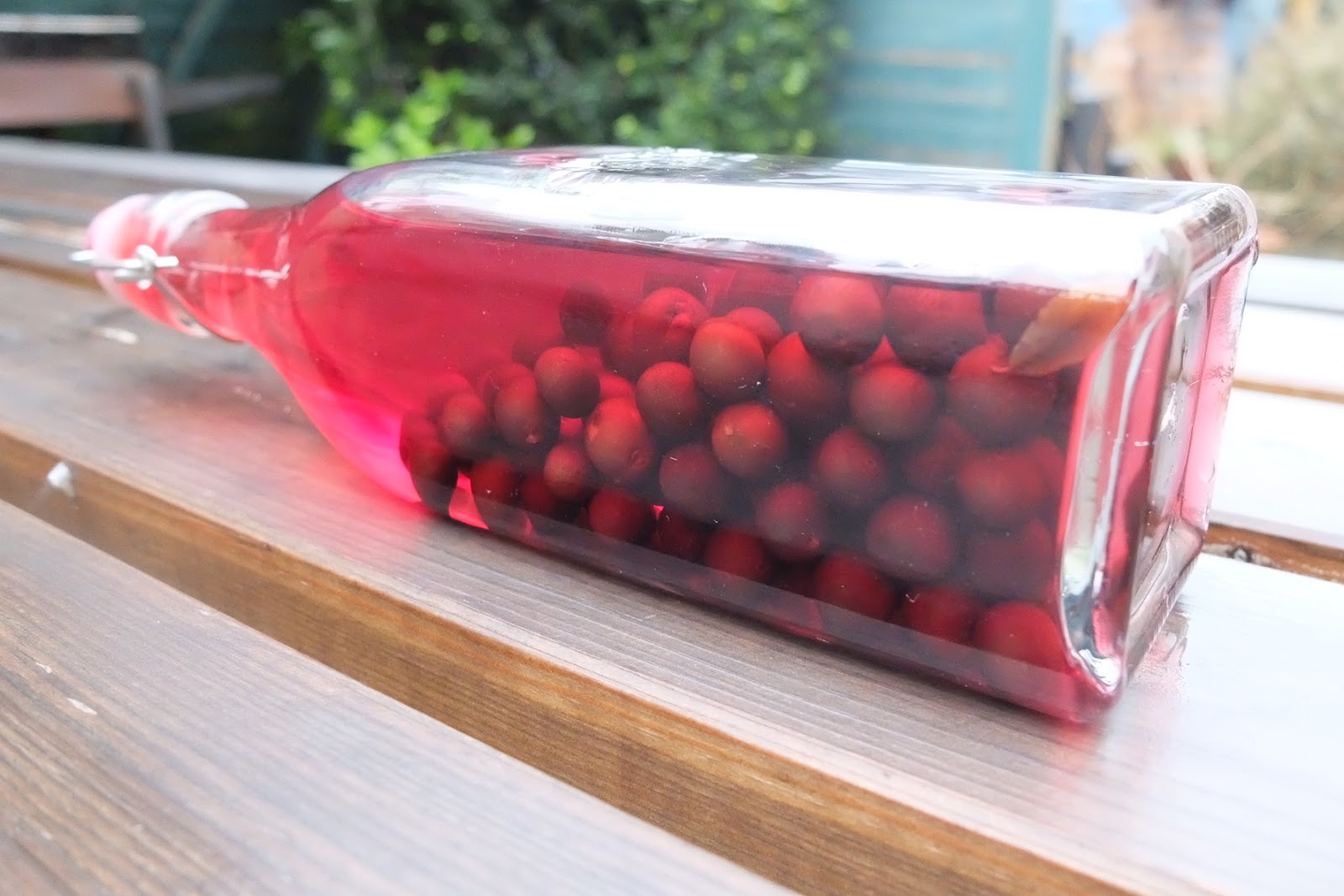 Sloe Gin & Lemon Fizz Cocktail Raw Rhubarb Fit Food and Recipes