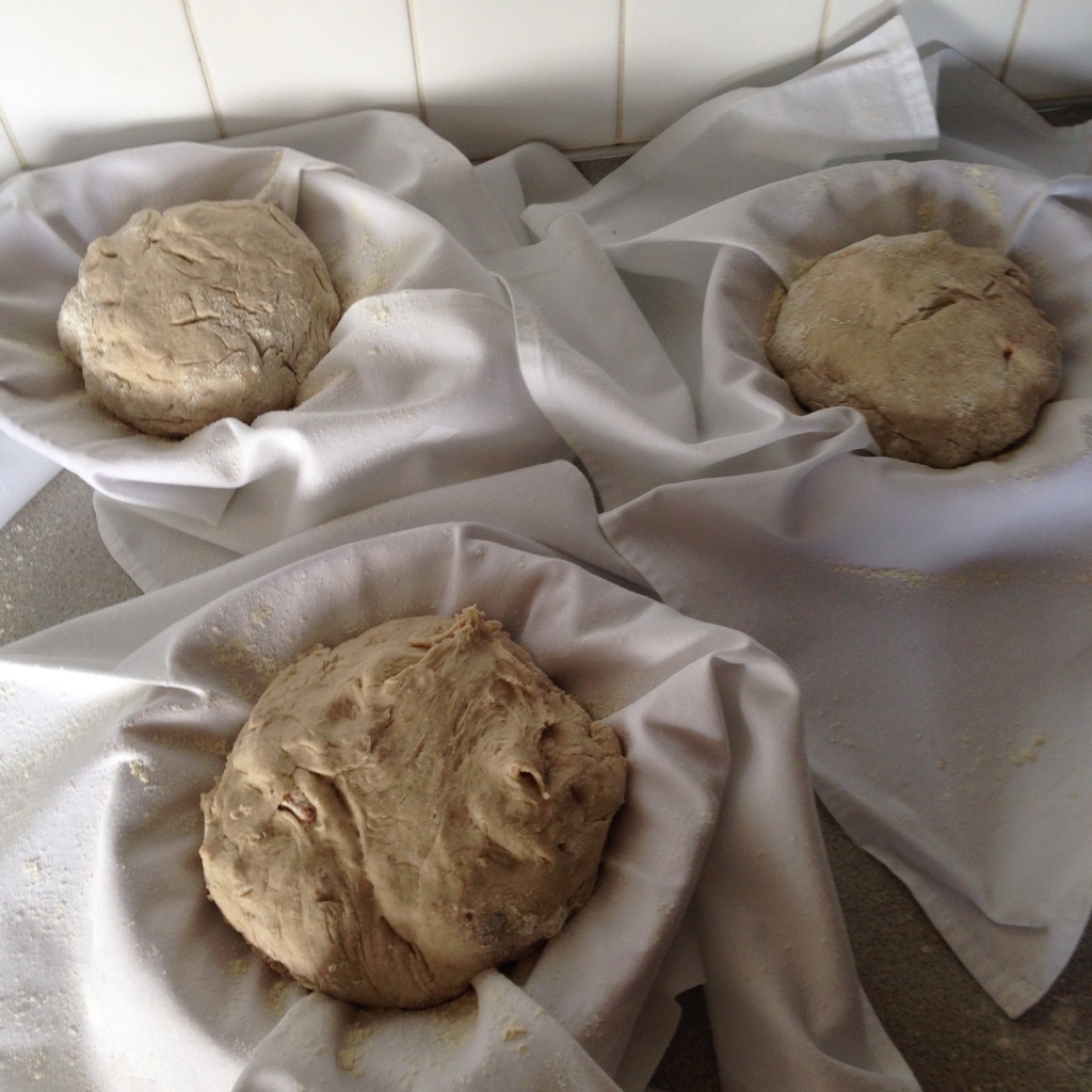 HOMEMADE SLOVENIAN FOOD BUCKWHEAT BREAD WITH WALNUTS SOBA BREAD