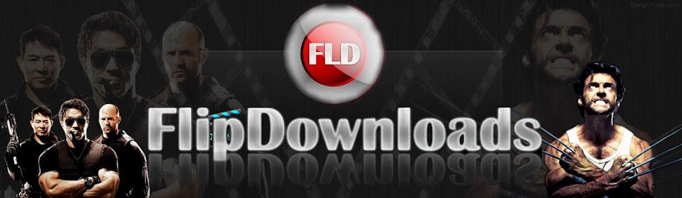 Flip Downloads