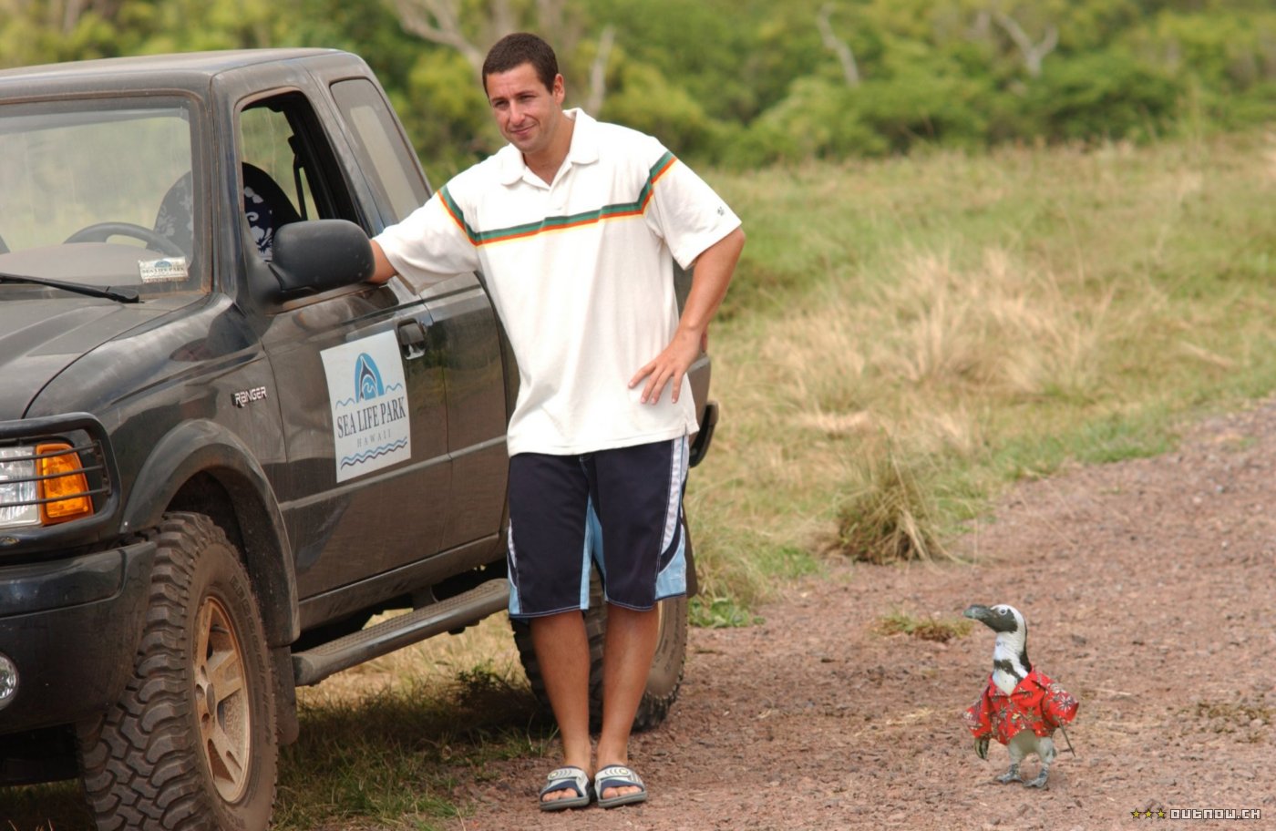 Sean astin 50 first dates