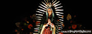 Portadas para- virgen de Guadalpe - inmaculada portadas para facebook virgen de guadalpe inmaculada