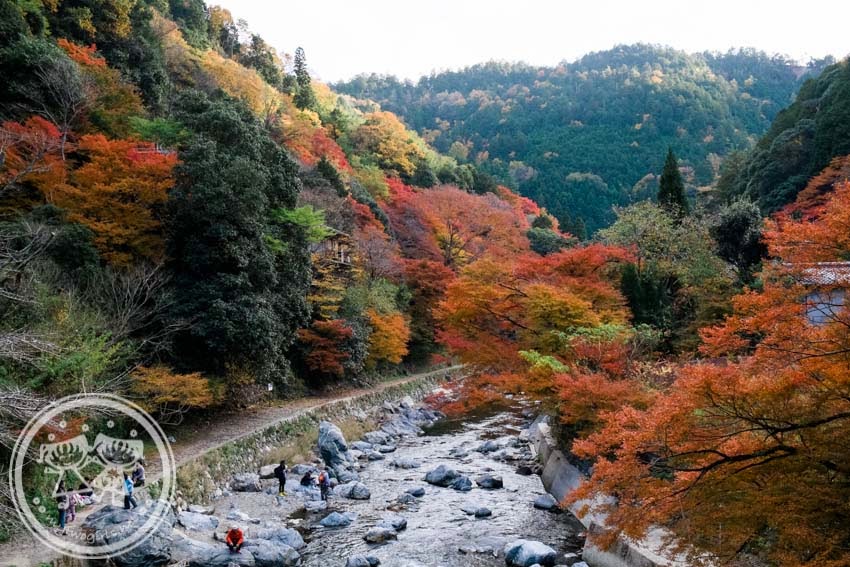 Kiyotaki Tokai Nature Trail