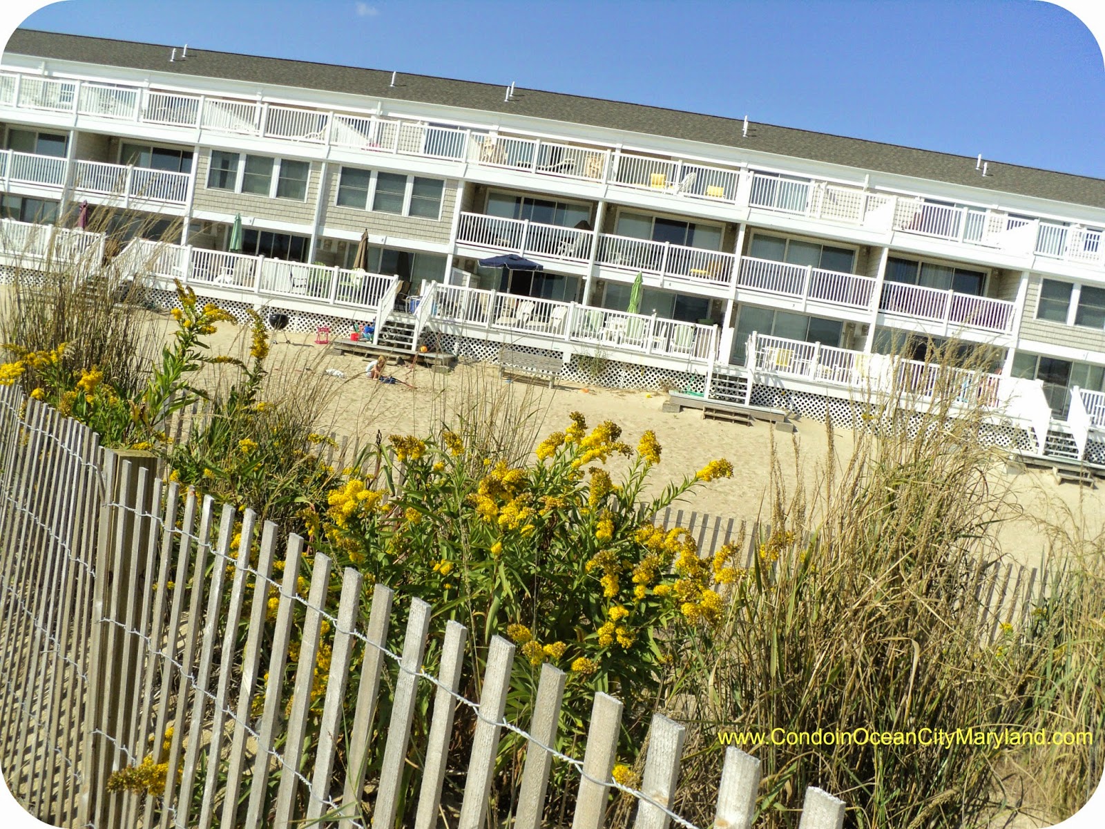 Ocean Colony 7 Is An Ocean City Maryland Luxury Oceanfront